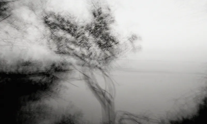 Back to the Atlantic, serie fotográfica