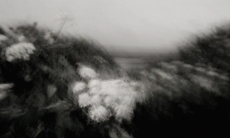 Back to the Atlantic, serie fotográfica