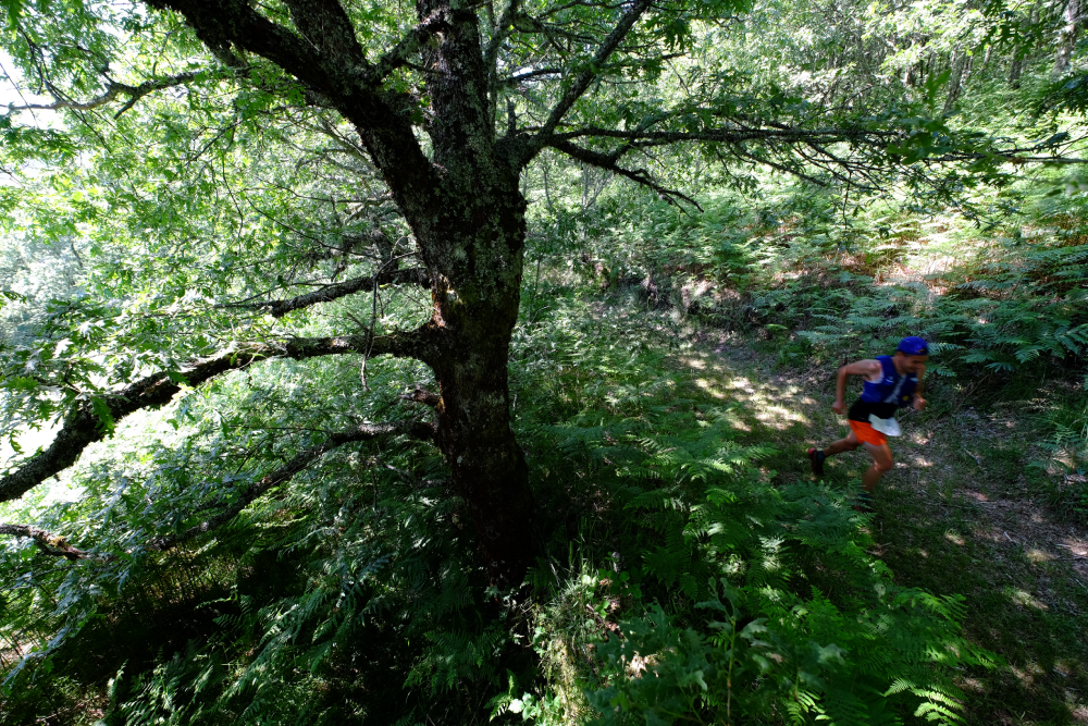 fotografía de trail running